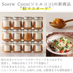 【0214214a】Soerw Cocoの粒マスタード(70g×9セット) 調味料 からし 料理 【Food＆SpiceSoerwCoco】