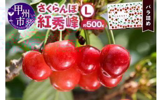さくらんぼ童夢の「紅秀峰」バラ詰め（約500g Lサイズ）【2026年発送】（DOM）B-144