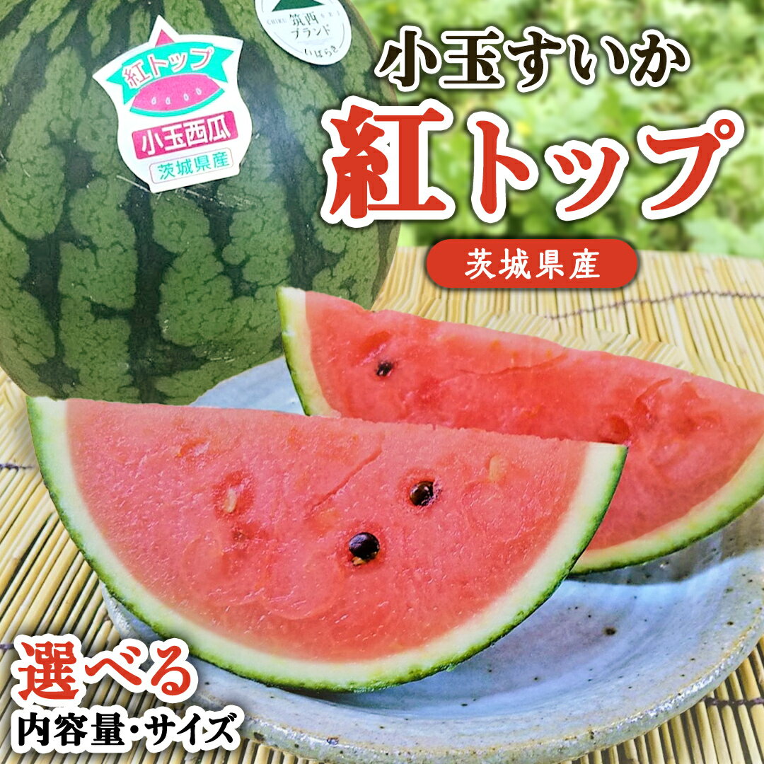 【ふるさと納税】【 先行予約 】 希少品種 「 紅トップ 」 茨城県産 小玉 スイカ すいか 選べるサイズ 2玉 L 1玉 2L 2玉 2Lサイズ
