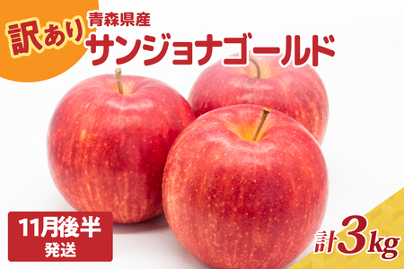 【2025年11月後半発送】りんご【訳あり】約3kg サンジョナゴールド | 青森県産りんご 家庭用りんご