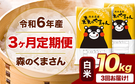 【3ヶ月定期便】令和6年産 白米 森のくまさん 10kg ｜米定期米定期米定期米定期