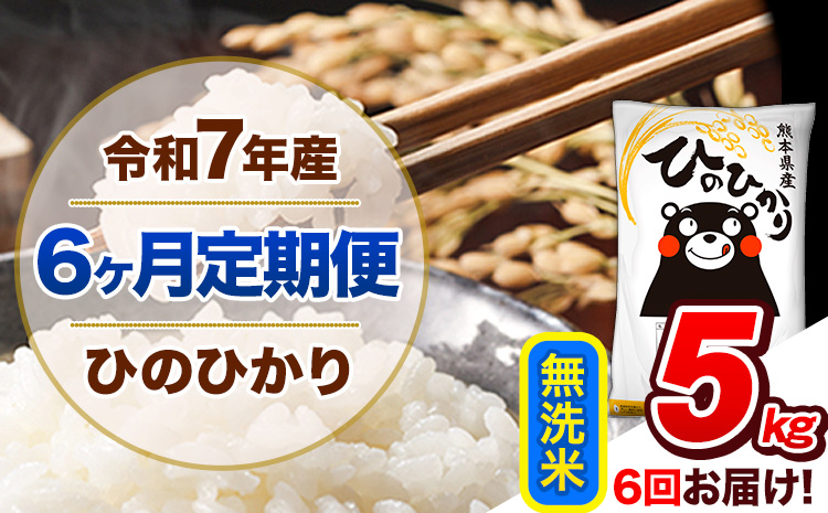 【6ヶ月定期便】令和7年産 定期便 ひのひかり 無洗米 5kg 《お申込み翌月から出荷》熊本県産 ふるさと納税 精米 ひの 米 こめ ふるさとのうぜい ヒノヒカリ コメ 熊本米 ひのもり