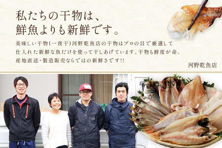 のどぐろ特大2枚を含む浜田港水揚げ新鮮干物A 魚本来の旨味に出会う渾身干物 干物 一夜干し 魚介類 魚貝類 新鮮 厳選 海鮮 セット 個包装 お取り寄せ お任せ 詰め合わせ バラエティ 【965】
