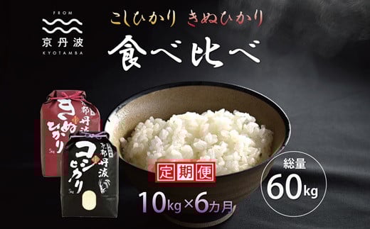 【6カ月定期便】 京丹波こしひかり きぬひかり 食べ比べ セット 10kg×6カ月連続 合計60kg 令和7年産 新米 京都 米 精米 コシヒカリ ※北海道・東北・沖縄は配送不可 [090MB004R]