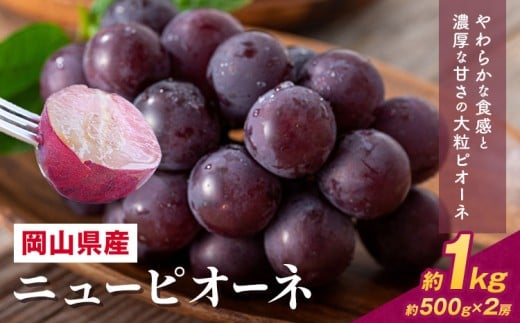 【2026年先行予約】 岡山県産 ニューピオーネ詰合せ 選べる 計 1kg 株式会社はちや《2026年6月下旬‐7月下旬頃出荷》岡山県 浅口市 ぶどう 葡萄 フルーツ ギフト 果物 デザート 国産 送料無料【配送不可地域あり】