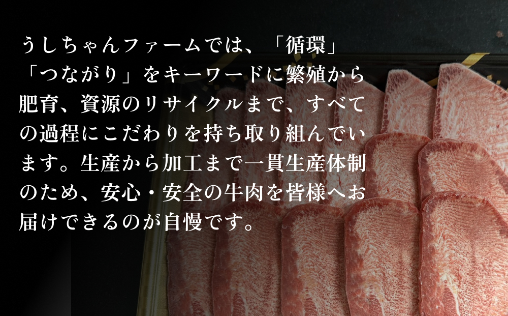 牛タン 国産 牛たんスライス 約 500g 味なし 宮城県産 牛タンスライス 牛たん 柔らかい 牛肉 和牛 タン 肉 焼肉 BBQ 冷凍 バーベキュー おかず おつまみ 簡単調理 仙台名物 お取り寄せ
