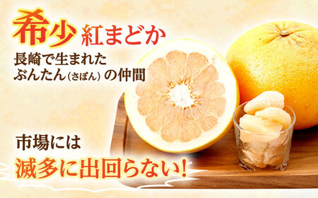 紅まどか 4個[OBP001]柑橘