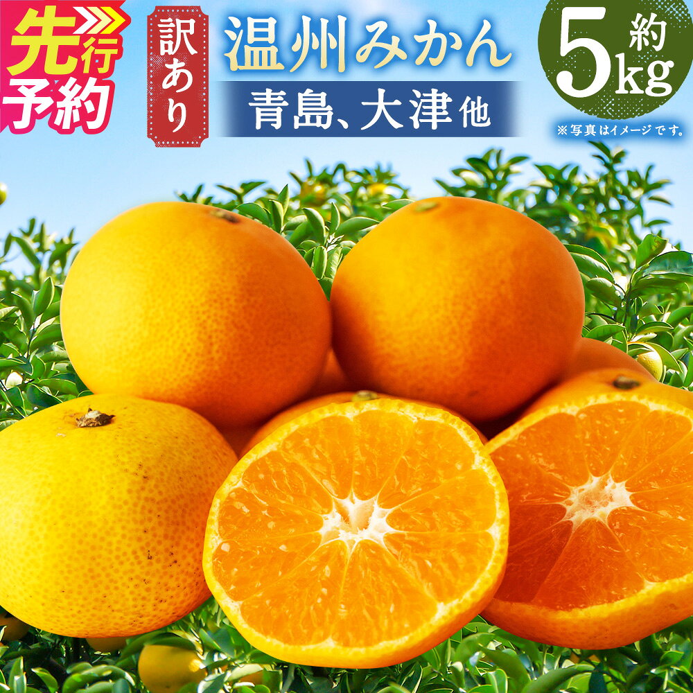 【ふるさと納税】【訳あり】 長崎県時津町産 温州みかん（青島、大津他） 計約5kg 2L～3Lサイズ ミカン 蜜柑 くだもの 果物 果実 フルーツ 長崎県産 国産 九州 長崎県 時津町 送料無料 【2026年12月下旬～2027年1月下旬迄発送予定】