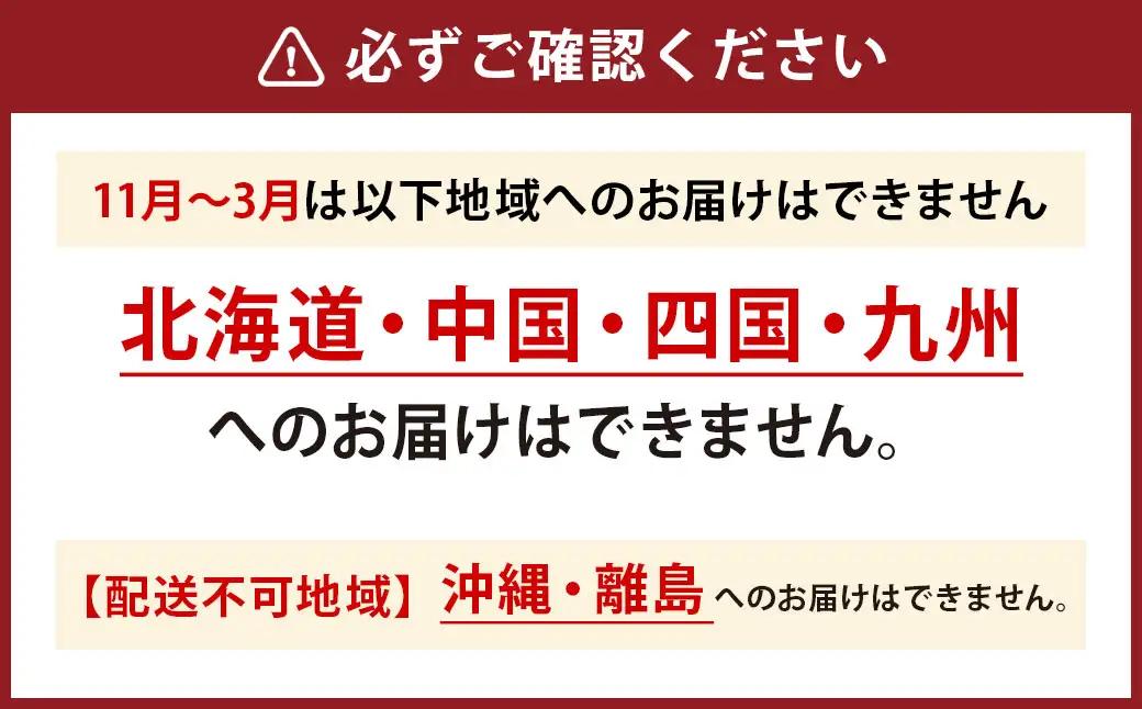 ミディ胡蝶蘭 4寸鉢 2本立 1鉢《品種や色の選択はおまかせ》