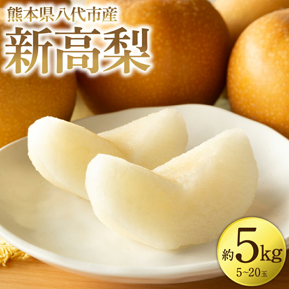 【ふるさと納税】 【先行予約】 新高梨 約5kg (5～20玉) 梨 なし ナシ フルーツ くだもの 果物 旬 熊本県 八代市 送料無料 【2026年9月中旬より順次発送】