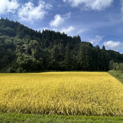 ふるさと納税 十和田市 【令和7年産】青森県産はれわたり玄米30kg |  | 02