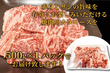 大人気商品セット★信州高原和牛 切り落とし500g＆カタロース焼肉用500g 13000円 