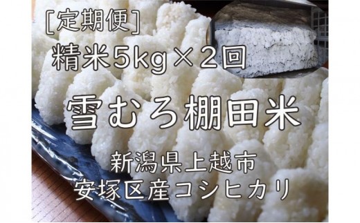 令和7年 新潟県産 棚田米 コシヒカリ 精白米 定期便 10kg 10キロ (5kg×2回) 雪中貯蔵 雪むろ こしひかり 精米 お米 こめ 新潟 上越 米 送料無料