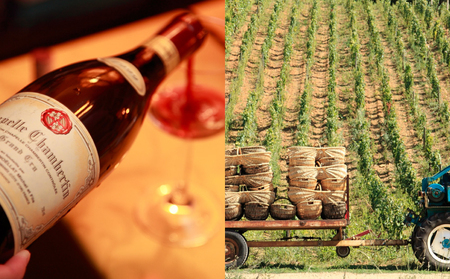 大谷の天然地下蔵で深みを増すワイン 白ワイン・赤ワイン 2本セット【 赤ワイン 白ワイン ロゼ 飲み比べ ギフト 栃木県 宇都宮市 】※配送不可地域：離島