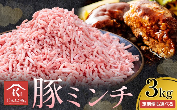 
                  鹿児島 うんまか 豚ミンチ 計3kg 500g×6P 選べる回数 1回 3ヶ月定期便 隔月定期便 株式会社寺師《出荷時期をお選びください 》鹿児島県 さつま町 豚肉 ミンチ 肉
                