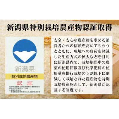 ふるさと納税 出雲崎町 【毎月定期便】新潟県 出雲崎産 コシヒカリ 「出雲崎の輝き」 精米 5kg全3回 |  | 03