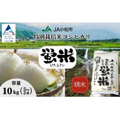 ふるさと納税 小松市 【令和7年産】 コシヒカリ 精米 蛍米 10kg ( 5kg×2袋 ) 石川県 小松市 JA小松市