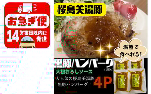 W-0403／鹿児島県産　桜島美湯豚　ハンバーグ 4個（おろしソース）