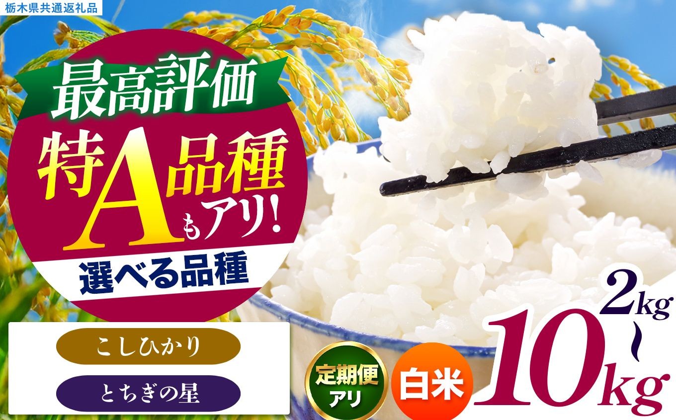 
                  【先行予約】令和8年度産 白米 選べる 銘柄 容量 約2kg～10kg こしひかり とちぎの星 |  真岡市産 訳あり 米  お米 こめ 玄米 ご飯 ごはん もちもち コシヒカリ 限定 ふるさと納税  栃木県 真岡市 送料無料 
                