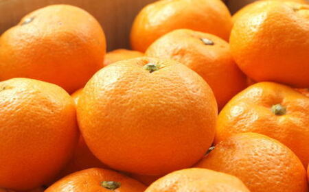 【ブランドみかん】田村みかん約5kg（Sサイズ・秀品）【2025年11月下旬～2025年12月下旬頃より順次発送】 / 果物 くだもの フルーツ 蜜柑 みかん 【tec883A】