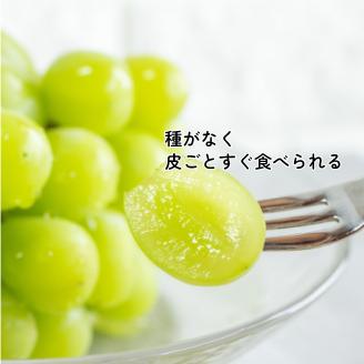 シャインマスカット 約2kg ( 3～5 房 ) 青秀 以上 冷蔵 愛媛県産 松山 伊台