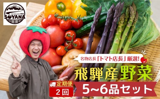 【2回定期便】産直市から直送！ 飛騨産 旬の新鮮 野菜セット (5～6品)   ～2026年7月から11月にお届け～