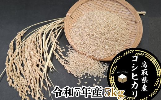 
            鳥取県産「コシヒカリ」玄米5kg（令和7年産）
          