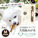 【ふるさと納税】小豆島産オリーブの犬用はみが木　M(中型犬用)　1本入　【 雑貨 ペット用品 犬用 ワンちゃん用 愛犬用 歯磨き オーラルケア 歯垢 臭い 口臭予防 自然素材 】