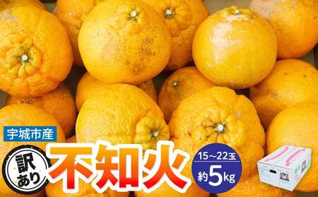 先行予約  訳あり 熊本大見柑 (不知火)  約5kg（15～22玉） 2027年3月上旬から2027年4月中旬発送予定