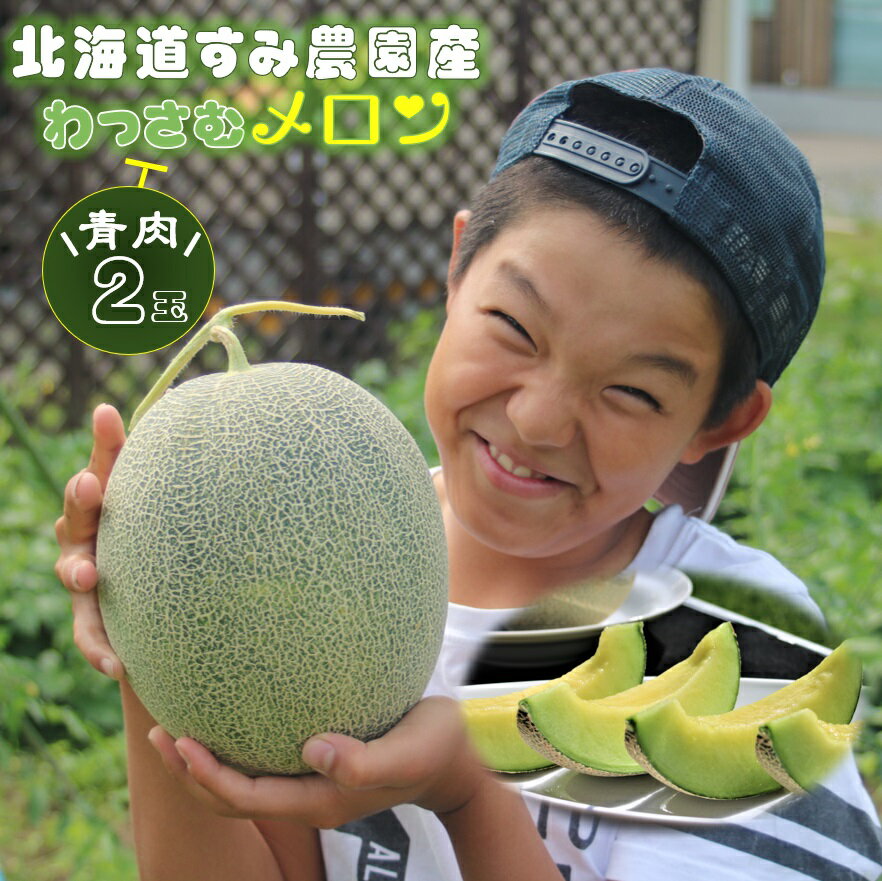 【ふるさと納税】≪令和7年産予約≫ わっさむ産メロン(青肉2玉) ふるさと納税 メロン 北海道 【7～8月お届け】