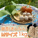 【ふるさと納税】【早期予約】桃山ぶどう園の『ぎんなん(殻付き)』Mサイズ　約1kg　※北海道・沖縄・離島への配送不可　※2024年11月上旬頃より順次発送予定