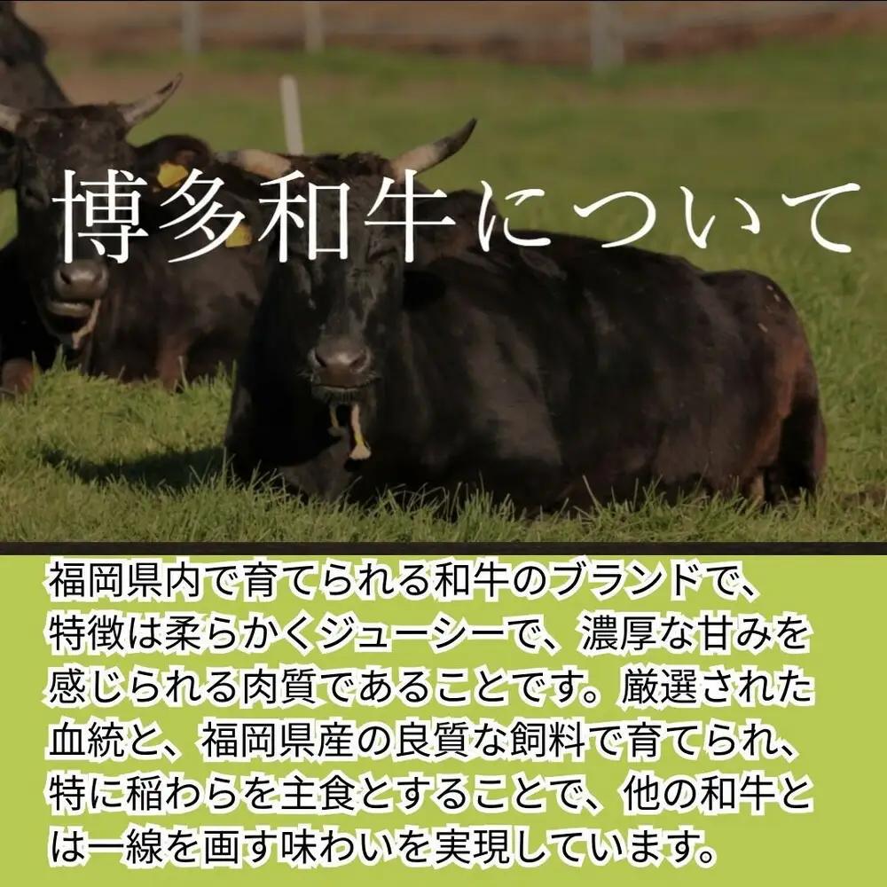 【博多和牛１００％使用】お肉屋さんの手ごねジューシー生ハンバーグ180ｇ×8個 | 食品 加工食品 人気 おすすめ 送料無料