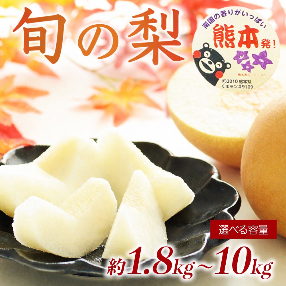 
                  先行予約 旬の梨 品種おまかせ 選べる容量 約1.8kg 約3kg 約5kg 約10kg【2026年8月上旬～2026年10月中旬配送予定】梨 なし ナシ 幸水 豊水 秋月 新高 新興 秋麗 甘太 凛果 にっこり 愛宕 果物 フルーツ くだもの おまかせ 国産 熊本県 日本フルーツ
                