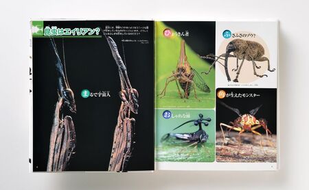 図鑑 講談社 MOVE 7冊 生きもの セット 図鑑