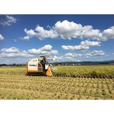 ふるさと納税 加茂市 新潟県加茂産　植酸栽培コシヒカリ「伝」計20kg[5kg×4袋](精米・脱酸素剤入) |  | 03
