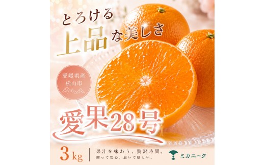 【数に限りあり】ゼリー食感【愛果28号（紅まどんなと同品種）】3kg 愛媛県産 【2026年11月下旬頃から順次発送】 | みかん 愛果28号 あいか 紅マドンナ 紅まどんな と同品種 蜜柑 アイカ 柑橘 果物 愛媛のみかん 贈答 くだもの フルーツ ご家庭用 数量限定 愛媛三大柑橘（ 紅まどんな せとか 甘平 ） 愛媛県産 ミカン 愛媛県 松山市