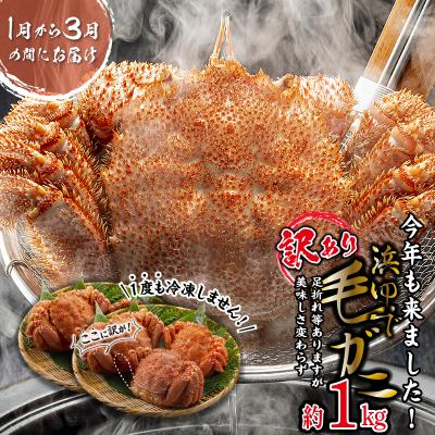 ふるさと納税 新ひだか町 &lt;2026年2月中旬より発送&gt; 訳あり 北海道産浜ゆで毛ガニ 約1kg &lt;先行受付&gt;