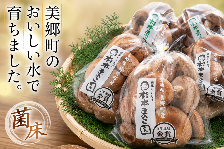 生しいたけ セット 約300g× 2袋 約150g× 2袋 計4袋 約900g [杉本きのこ園 宮崎県 美郷町 31bs0001] 菌床 椎茸 しいたけ シイタケ きのこ キノコ お鍋 天ぷら 炒め物 おかず