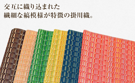 純国産天然いぐさ「掛川 虹」１畳 （黒色）純国産 いぐさ い草 天然 自家生産 掛川 ラグ BG022