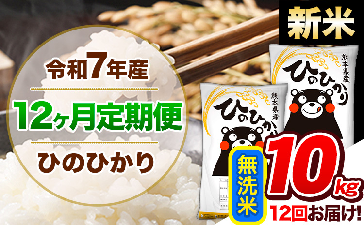 【12ヶ月定期便】新米 令和7年産 定期便 無洗米 ひのひかり 10kg 《お申込み翌月から出荷開始》熊本県産 ふるさと納税 精米 ひの 米 こめ ふるさとのうぜい ヒノヒカリ コメ 熊本米 ひのもり