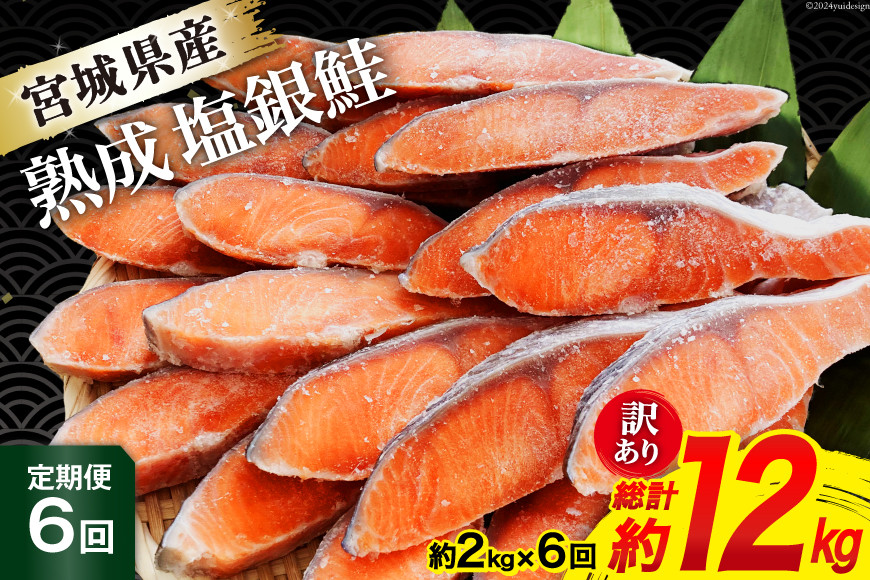 
定期便 《6ヶ月連続お届け》 訳あり 宮城県産 熟成 銀鮭 切身 約2kg×6回 計12kg [宮城東洋 宮城県 気仙沼市 20564499] 魚 鮭 海鮮 国産 さけ 鮭 甘口 サケ 鮭切身 シャケ 切り身 冷凍 おかず 弁当 支援 事業者支援 サーモン
