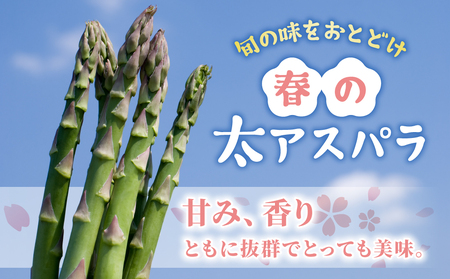 【先行受付2026年発送】農家直送！新鮮！春獲れ太（L）アスパラ約1kg（おおよそ30～40本）｜のららぼ農園 ※2026年4月上旬～5月下旬発送予定