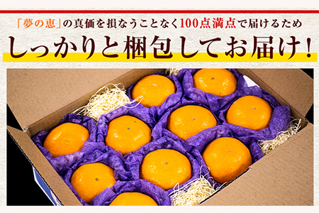 夢の恵 みかん 約2.5kg(20玉～30玉前後) 熊本県産 （荒尾市産含む） 糖度12度以上 ブランドみかん ブランド 贈答用 贈り物《11月中旬-12月下旬頃出荷》 熊本県 荒尾市