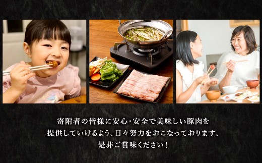 熊本県産 火の君ポーク 詰合せ