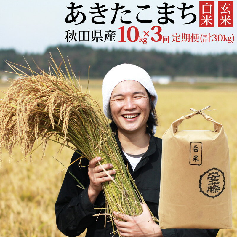 【ふるさと納税】《令和7年産》《定期便3ヶ月》秋田県産 あきたこまち 10kg(10kg×1袋)×3回 【白米／玄米 選べる】計30kg 令和7年産