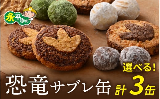 恐竜サブレ缶 (大) 2種類各1個 + (小) 4種類から選べる1個　 計3缶 /  恐竜 サブレ お菓子 クッキー 米粉 おかし 洋菓子 詰め合わせ デザート 人気 おすすめ 永平寺 福井 福井県 坐禅 恐竜 北陸 [C-026005]