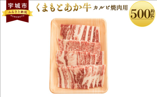 牛肉 和牛 くまもと あか牛 カルビ 焼肉用 約500g×1パック 