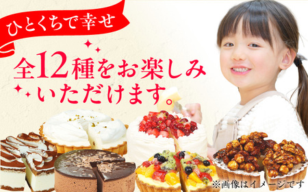 【全6回定期便】12種のケーキ・タルト スイーツ定期便 / ケーキ タルト スイーツ [AFAK034]