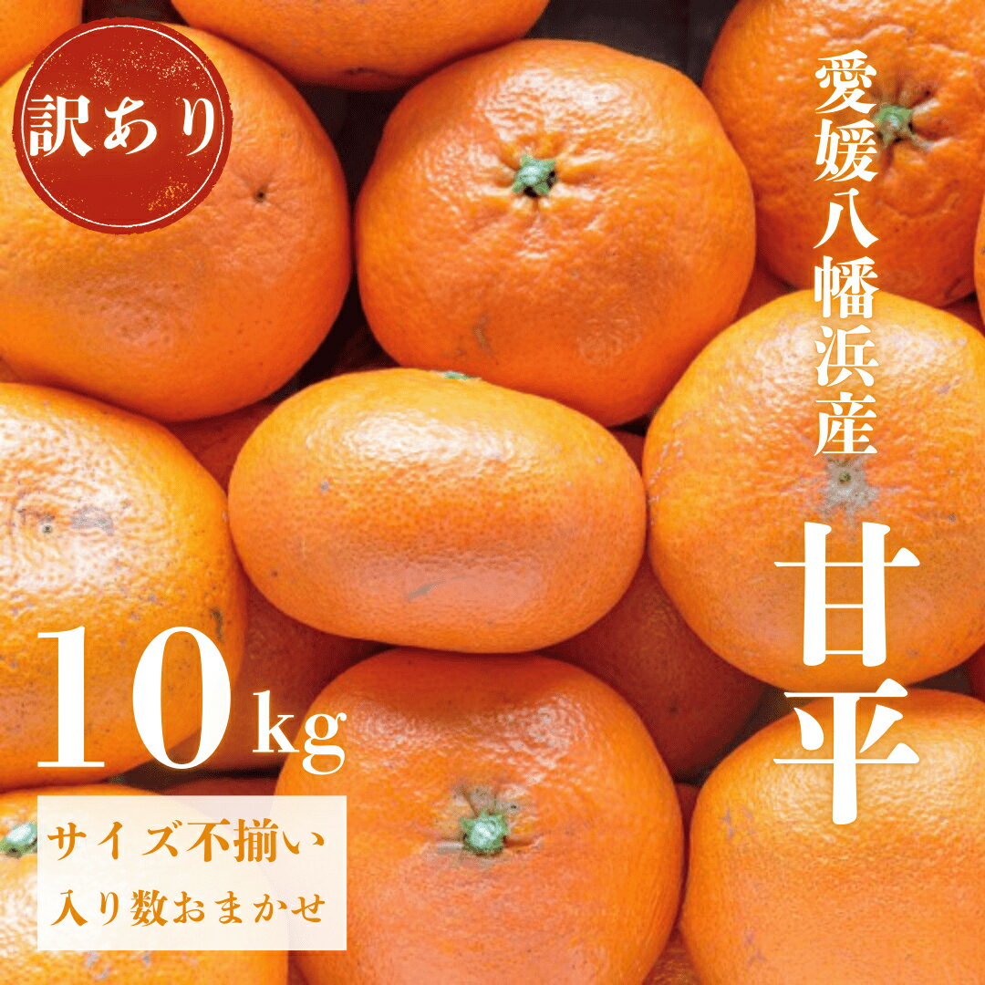 【ふるさと納税】【愛媛が誇る 高級みかん 希少品種】訳あり 甘平 (かんぺい) 10kg【H20-68】_【1620339】 YWTI063