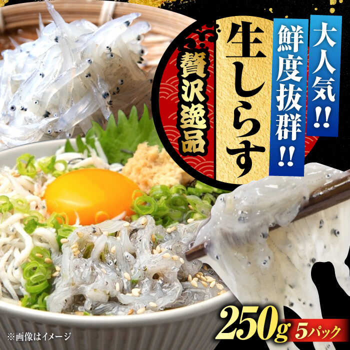 【ふるさと納税】【お歳暮ギフト】【年内発送】鮮度抜群 生しらす 50gX5個 しらす 冷凍 シラス 小分け 干し 釜揚げ 冷凍 シラス 小分け パック 干し 魚介類 鮮魚 海鮮 海産物 セット 詰め合わせ ギフト 広島県産 人気 送料無料 江田島市/三島水産株式会社[XCN002]